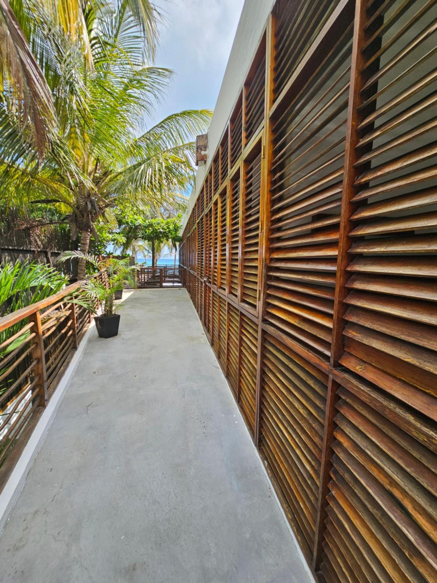 Makao Beach Hotel Palomino Exteriér fotografie